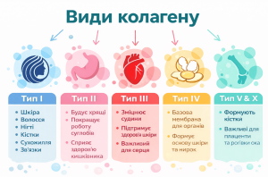 види колагену
