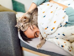 котик спить на голові людини