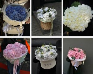 асортимент гортензій у Million Flowers