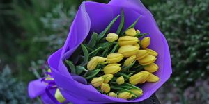Стильна композиція з жовтих тюльпанів