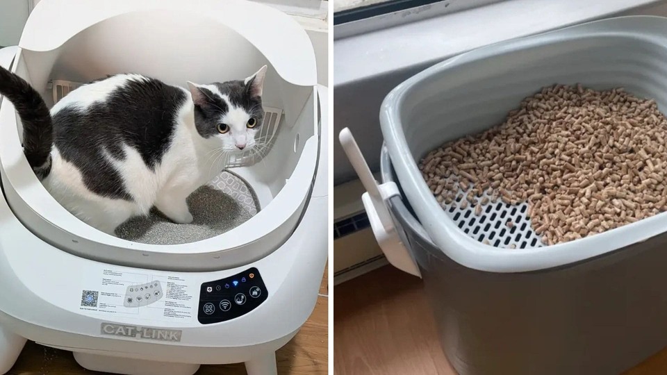 Які бувають туалети для котів